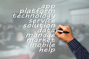 开云体育官网登入-瑞典队未来：如何建立更具竞争力的国际品牌，瑞典队分析