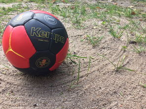 kaiyun开云体育-中国篮球推动青少年比赛规则标准统一促进公平竞争，篮球青少年联赛