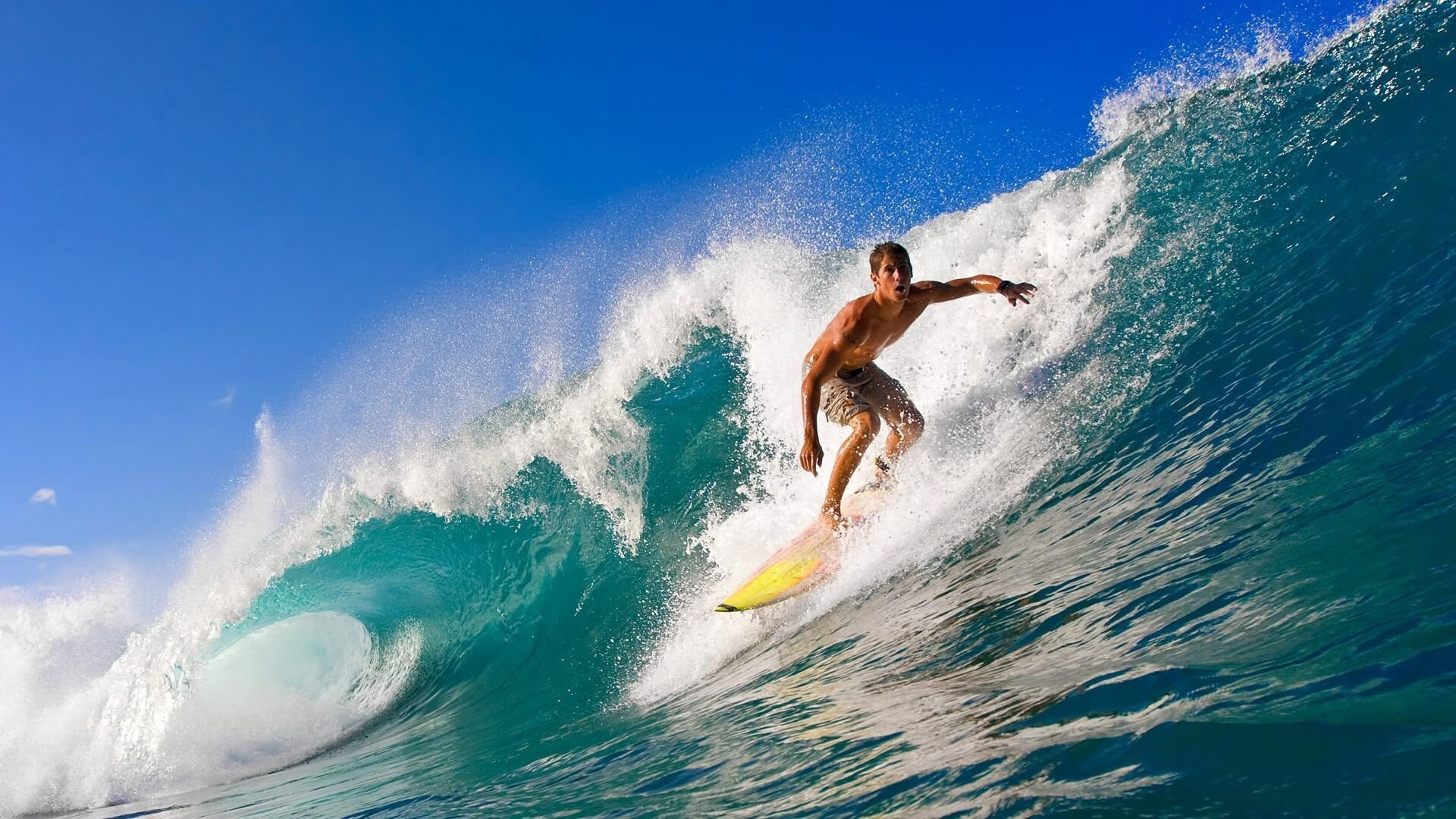 全黑队的攻防速度与转化为其赢得橄榄球比赛奠定基础,全黑队服